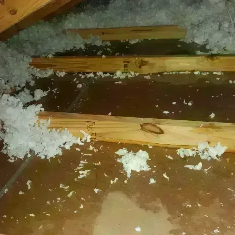 Attic Water Damage in Lebanon, VA