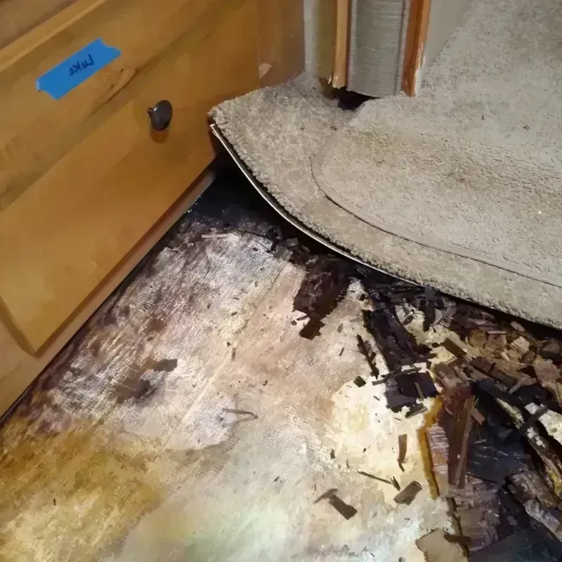 Wood Floor Water Damage in Lebanon, VA